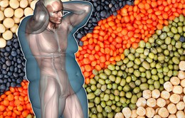 Những loại hạt nên bổ sung trong thực đơn giảm cân