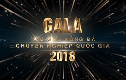 Gala Tổng kết các Giải BĐCN Quốc gia 2018: Tôn vinh các danh hiệu