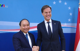 Đề nghị Hà Lan tạo điều kiện cho hàng hóa Việt Nam tiếp cận thị trường