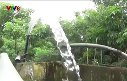 Bình Thuận: Dân góp vốn xây nhà máy nước sạch nông thôn