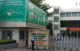 Tổng công ty Nông nghiệp Sài Gòn có nhiều sai phạm trong sử dụng đất công