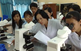 Việt Nam nỗ lực đẩy mạnh nghiên cứu khoa học trong các giảng viên trẻ