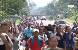 Dòng người di cư Honduras tiếp tục đổ về Mexico