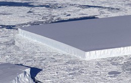 Tìm thấy một tảng băng trôi hình chữ nhật ở Nam Cực