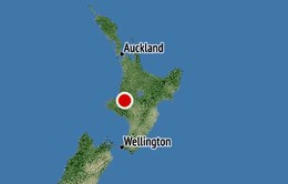 Động đất 6,1 độ richter ở New Zealand khi vợ chồng Hoàng tử Harry tới thăm