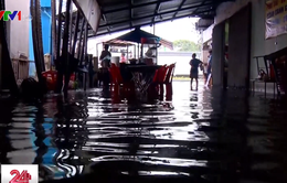 Bà Rịa - Vũng Tàu: Cuộc sống người dân đảo lộn vì nước ngập từ quốc lộ tràn vào nhà