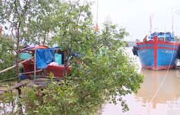 Nguy cơ lãng phí âu thuyền tiền tỷ ở Sầm Sơn, Thanh Hóa