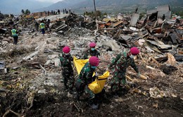 Số người chết do thảm họa động đất, sóng thần Indonesia tăng lên 1.649 người