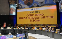 Việt Nam dự Hội nghị tổng kết các Quan chức cao cấp của APEC 2018