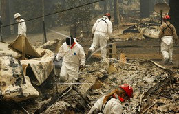 Số nạn nhân thiệt mạng trong vụ cháy rừng ở California, Mỹ tăng lên 44 người