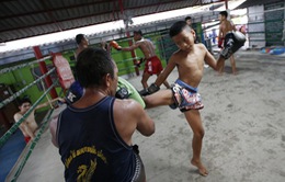 Để thoát nghèo, nhiều võ sĩ thi đấu Muay Thái từ khi còn nhỏ tuổi