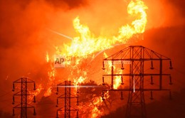 Xác định thủ phạm gây cháy rừng tại California