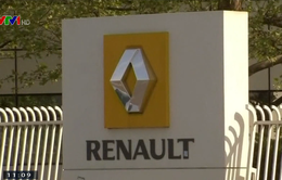 Hãng sản xuất ô tô Renault bổ nhiệm lãnh đạo mới