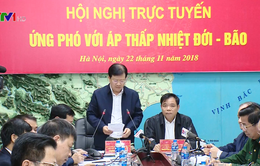 Phó Thủ tướng Trịnh Đình Dũng: “Tuyệt đối không được chủ quan khi ứng phó với bão số 9”