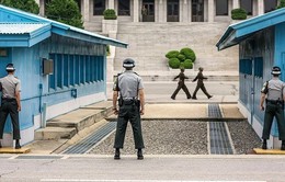 Triều Tiên, Hàn Quốc mở đường trong khu DMZ để trao trả hài cốt binh sĩ