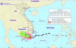 Ban Chỉ đạo Trung ương về Phòng chống thiên tai kiểm tra tình hình bão lụt ở Bình Thuận
