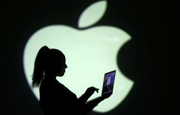 Sau iPhone, Apple "nhận trái đắng" với MacBook