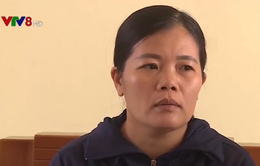 Quảng Bình khởi tố vụ cô giáo cho cả lớp tát học sinh 231 cái