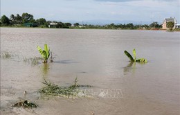 Huyện Bắc Bình, Bình Thuận vẫn ngập nặng do mưa lũ