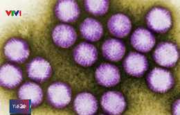 Ít nhất 10 người chết do lây lan virus tại bệnh viện Mỹ