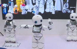 Nở rộ ngành công nghiệp robot tại Trung Quốc