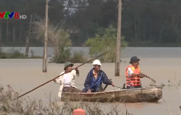 Quảng Nam ngập lụt, thiệt hại xen lẫn lợi ích