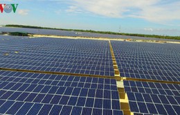 Sản xuất điện mặt trời: Sớm hoàn thiện cơ chế mua bán, chính sách hỗ trợ hợp lý