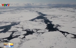 Tình trạng ấm lên tại Bắc Cực làm biến đổi môi trường trên diện rộng
