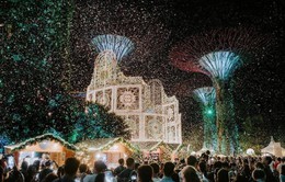 5 lý do nên chọn Singapore là điểm đến dịp cuối năm