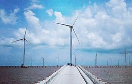 Năm 2019, Bạc Liêu sẽ khởi công thêm 4 dự án điện gió