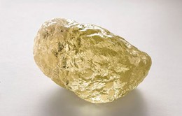 Kim cương màu vàng 552 carat "siêu" hiếm