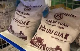 Năm 2018 - Năm khởi sắc của ngành lúa gạo Việt