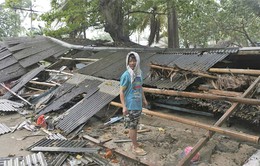Nguyên nhân nào gây ra trận sóng thần khủng khiếp ở Indonesia?