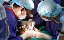 50 người Việt xin hiến phổi để ghép cho bệnh nhân 91