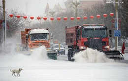 Trung Quốc ban bố cảnh báo vàng về bão tuyết