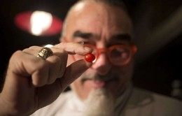 Israel phát triển thành công cà chua nhỏ nhất thế giới