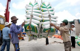 Xuất cấp gạo cho 4 tỉnh dịp Tết Nguyên đán