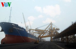 Cảng Cẩm Phả rót 32.000 tấn than đầu năm mới