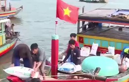 Hà Tĩnh: Những con tàu đầy ắp cá cập cảng ngày đầu năm mới