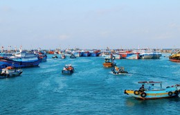 Ngư dân Quảng Trị phấn khởi với chuyến biển đầu năm
