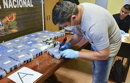 Đại sứ quán Nga ở Argentina giúp cảnh sát phá đường dây ma túy