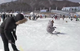Câu cá trên băng tại Hàn Quốc