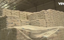 Hậu Giang kêu gọi giải cứu 30.000 tấn đường tồn kho