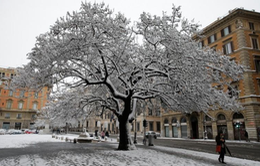 Giá rét, bão tuyết hoành hành châu Âu, 24 người thiệt mạng