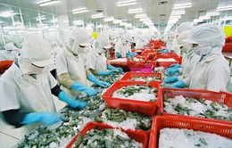 Saudi Arabia tạm ngừng nhập khẩu thủy hải sản Việt Nam