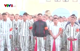 Lâm Đồng: Trại giam Đại Bình trao quyết định giảm thời hạn chấp hành án cho phạm nhân