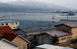 Nhật Bản: Sức sống trở lại Fukushima 7 năm sau thảm họa kép