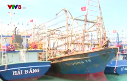 Bình Định: Mạnh tay xử lý chủ tàu xâm phạm vùng biển nước ngoài