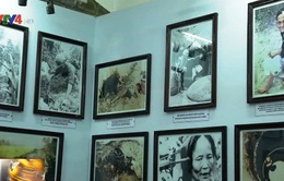 Nhiều hoạt động tưởng niệm 50 năm thảm sát Mỹ Lai