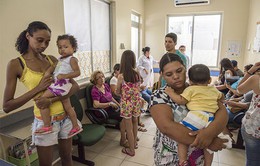 Dịch sốt vàng da bùng phát mạnh trở lại tại Brazil